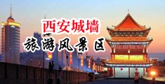 骚屄浪吊视频中国陕西-西安城墙旅游风景区